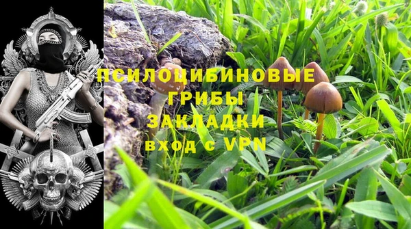 марихуана Абаза