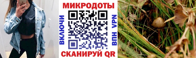 Галлюциногенные грибы GOLDEN TEACHER  как найти закладки  Нефтегорск 
