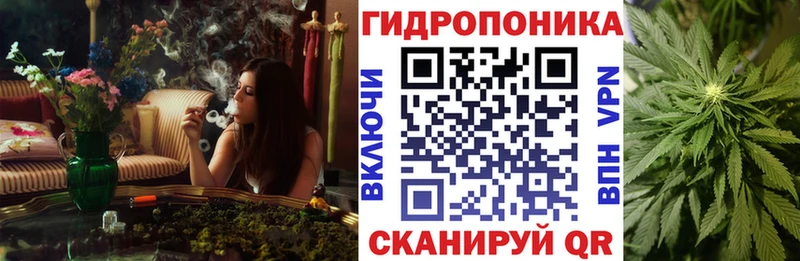 Бошки Шишки семена  закладка  Нефтегорск 